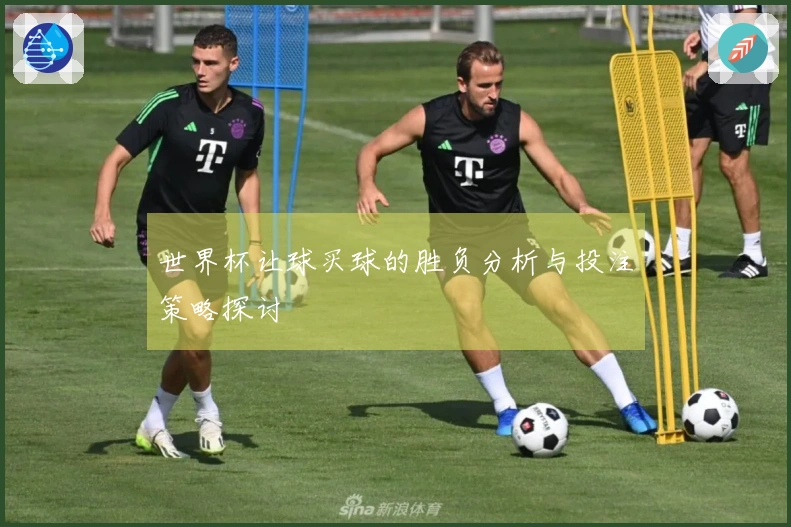 世界杯让球买球的胜负分析与投注策略探讨