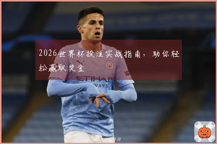 2026世界杯投注实战指南，助你轻松赢取奖金