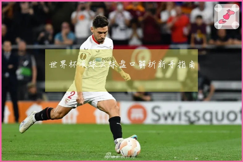 世界杯滚球买球盘口解析新手指南