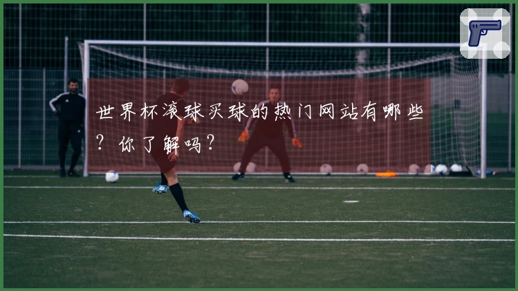 世界杯滚球买球的热门网站有哪些？你了解吗？