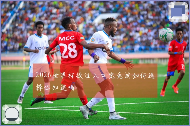 2026世界杯投注入口究竟该如何选择你知道吗