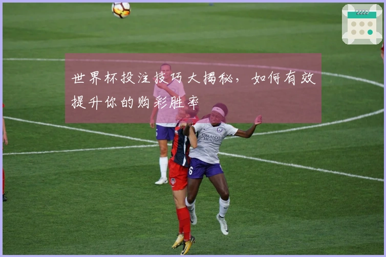 世界杯投注技巧大揭秘，如何有效提升你的购彩胜率