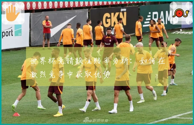 世界杯竞猜投注赔率分析：如何在激烈竞争中获取优势