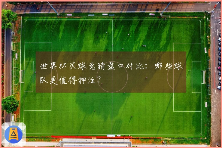 世界杯买球竞猜盘口对比:哪些球队更值得押注?