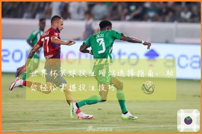 世界杯买球投注网站选择指南，助你轻松掌握投注技巧