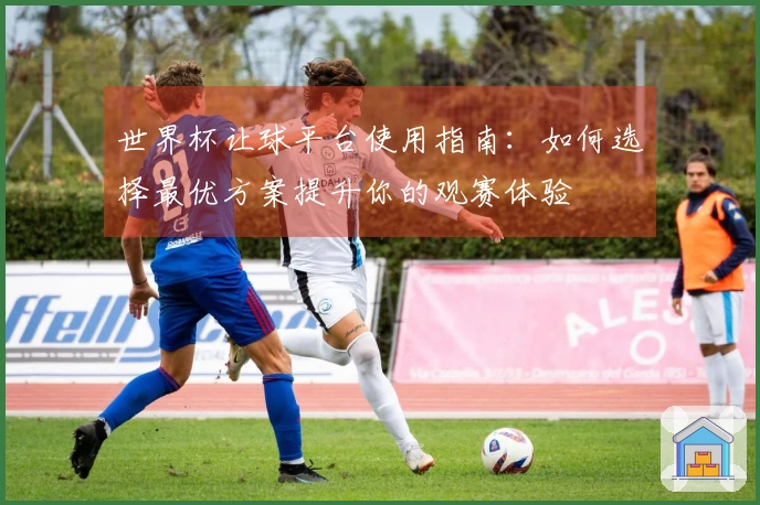 世界杯让球平台使用指南：如何选择最优方案提升你的观赛体验