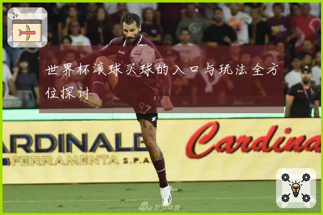 世界杯滚球买球的入口与玩法全方位探讨