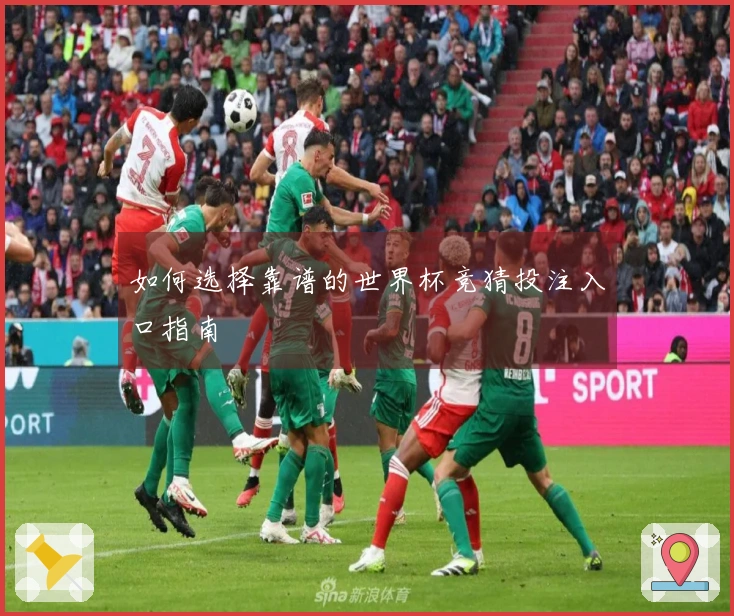 如何选择靠谱的世界杯竞猜投注入口指南