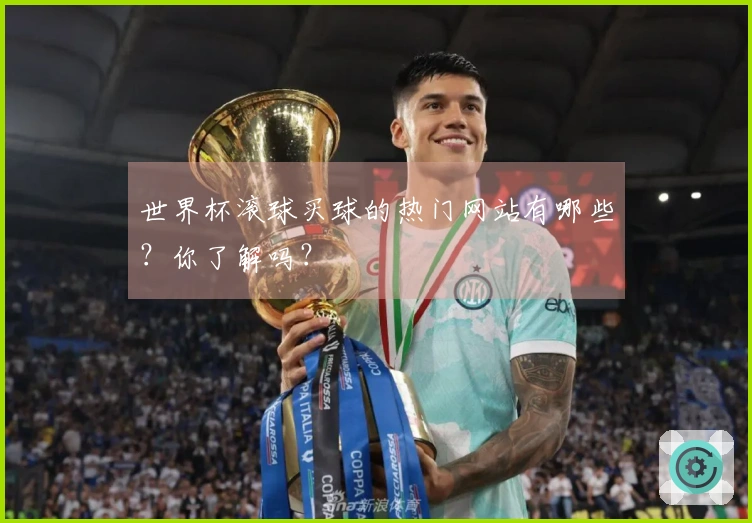 世界杯滚球买球的热门网站有哪些？你了解吗？