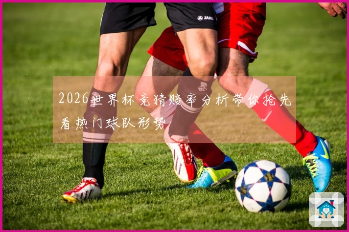 2026世界杯竞猜赔率分析带你抢先看热门球队形势