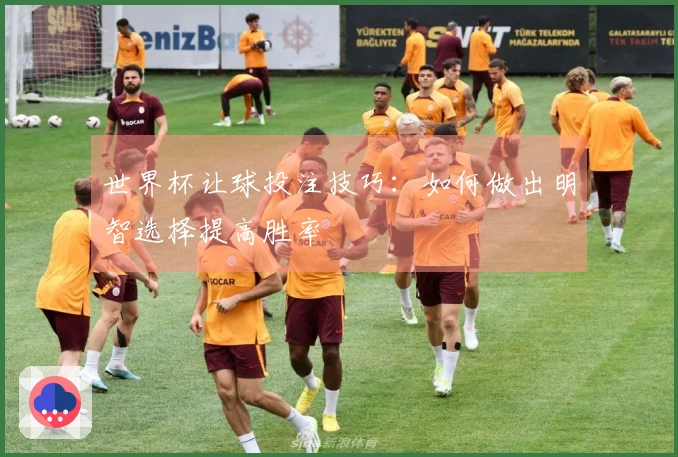世界杯让球投注技巧：如何做出明智选择提高胜率