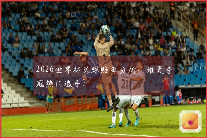 2026世界杯买球赔率分析，谁是夺冠热门选手？