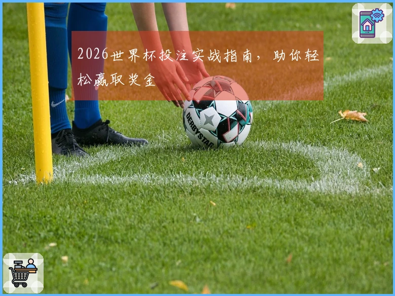 2026世界杯投注实战指南，助你轻松赢取奖金
