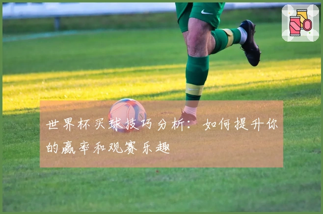 世界杯买球技巧分析：如何提升你的赢率和观赛乐趣